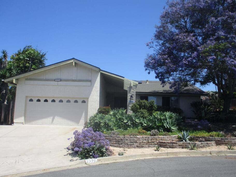 Custom Home - Beach Close/Convenient To Everything Oceanside Exteriör bild